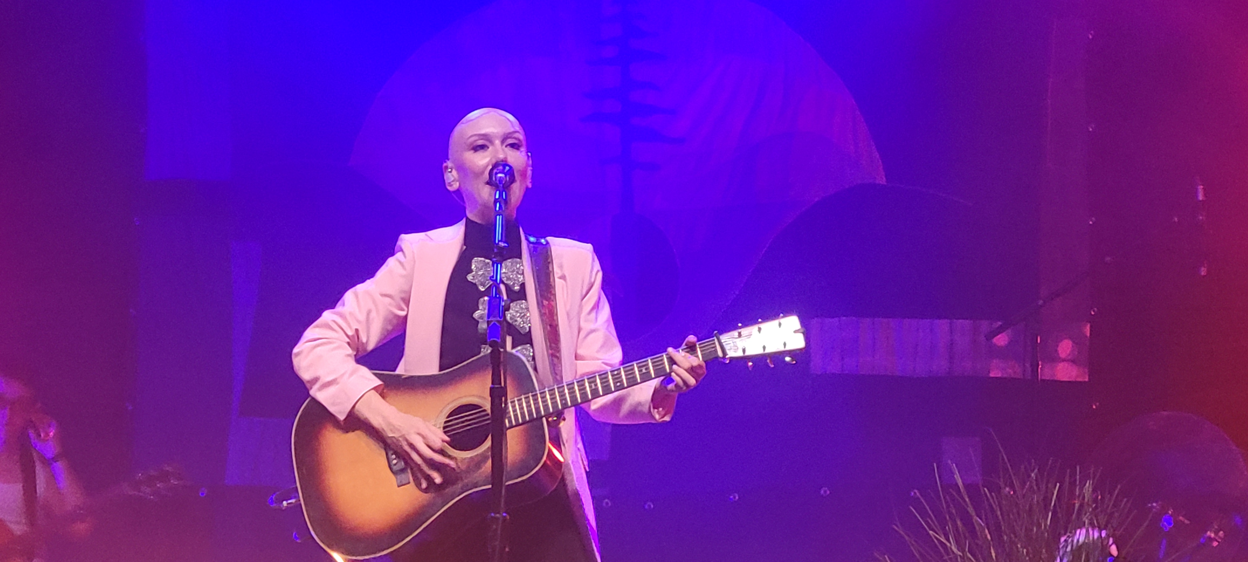 MollyTuttle2025-08-16GreenMountainBluegrassAndRootsFestivalManchesterVT (6).jpg